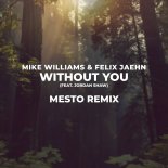 Mike Williams & Felix Jaehn feat. Jordan Shaw – Without You (Mesto Remix).mp3