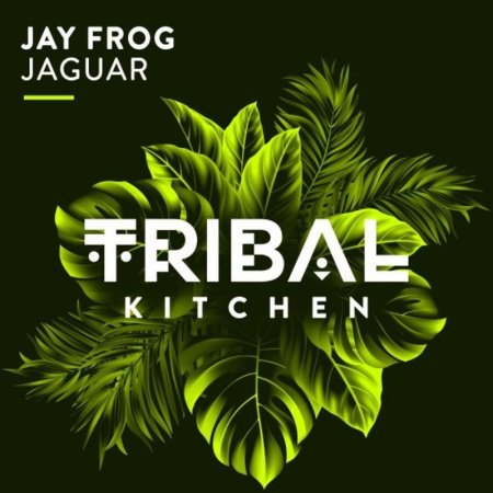13. Jay Frog – Jaguar (Radio Edit).mp3