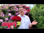 Artur Wardowski – Tysiąc Czerwonych Róż up by RXZ.mp3