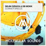 Selim Ozkaya & Db Mokk – Summer Breeze (Extended Mix).mp3