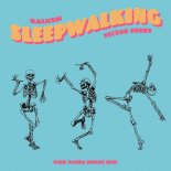 KALUSH feat. Victor Perry – Sleepwalking(Pink Panda) [](by_ciachoxv).mp3
