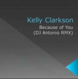 Kelly Clarkson – Because of You (DJ Antonio RMX).mp3